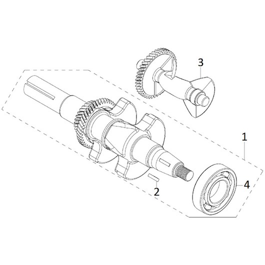 Коленвал Champion CH1211E
